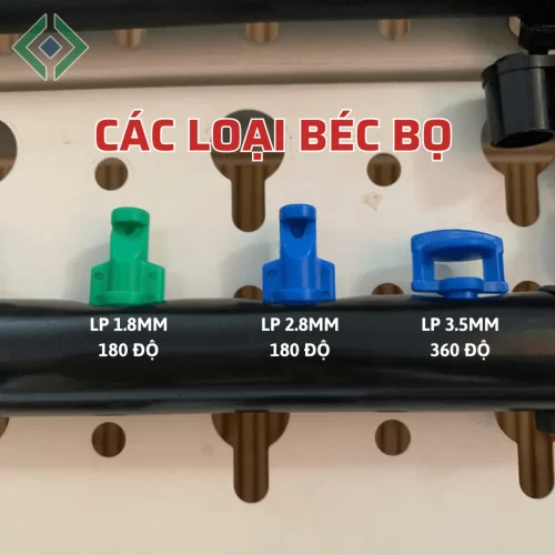 cac loai bec bo