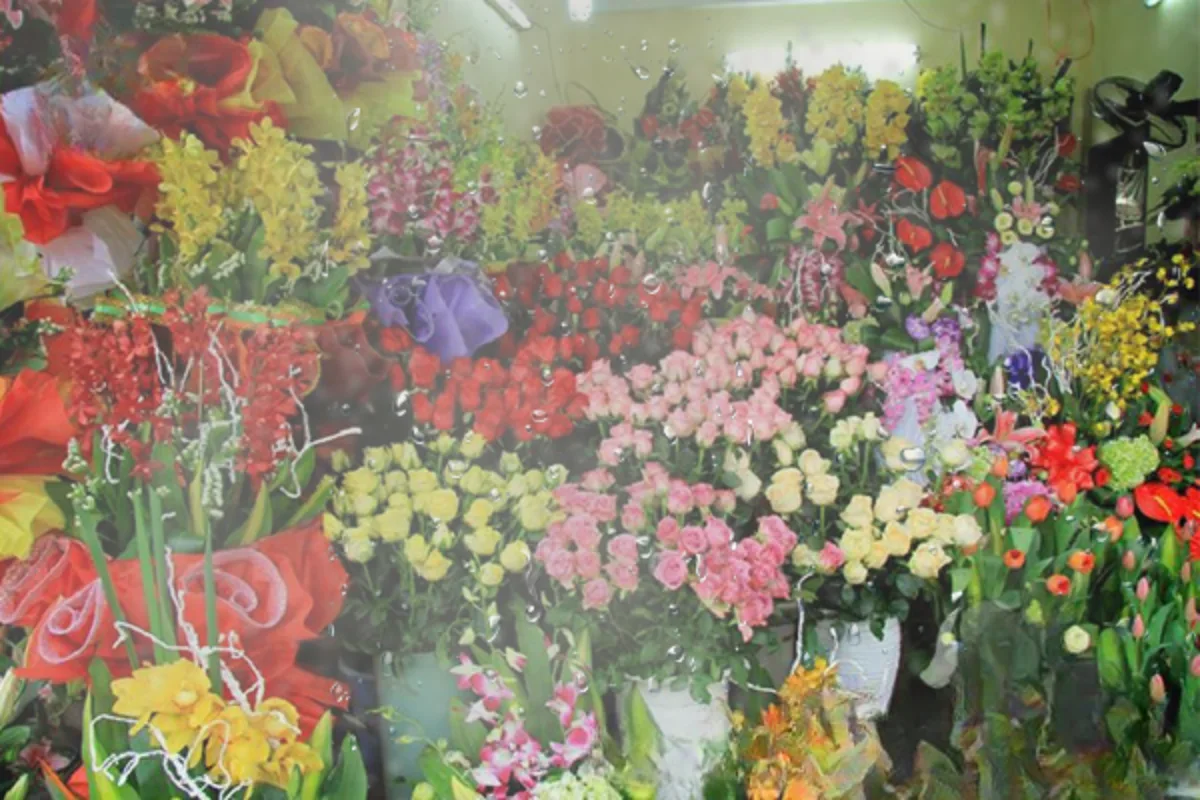 Thiết Bị Phun Sương【 Nhà Phân Phối Sỉ & Lẻ Thiết Bị Phun Sương】 Hệ thống phun sương tạo ẩm cho shop hoa tươi he thong phun suong tao am cho shop hoa tuoi